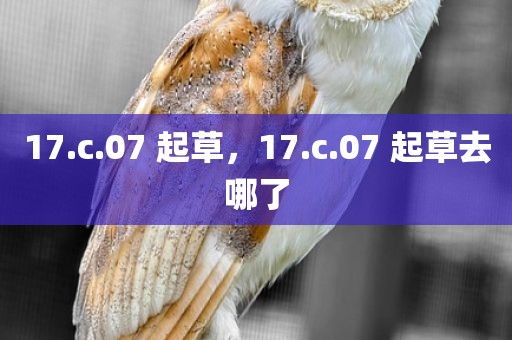 17.c.07 起草，17.c.07 起草去哪了