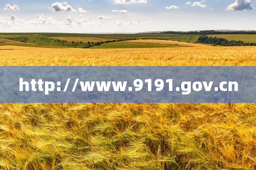 http://www.9191.gov.cn