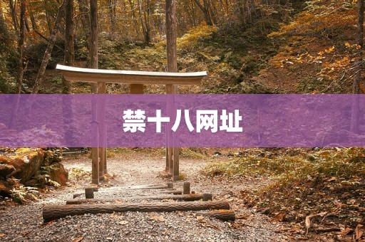 禁十八网址