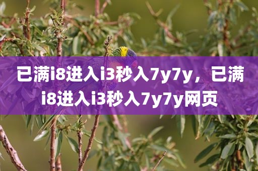 已满i8进入i3秒入7y7y，已满i8进入i3秒入7y7y网页