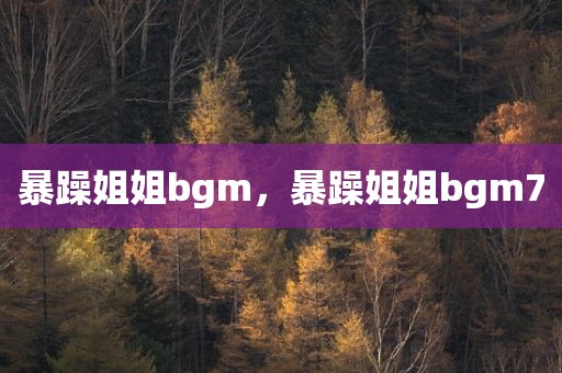 暴躁姐姐bgm，暴躁姐姐bgm7
