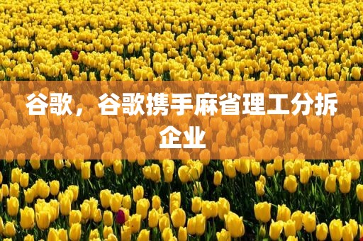 谷歌，谷歌携手麻省理工分拆企业
