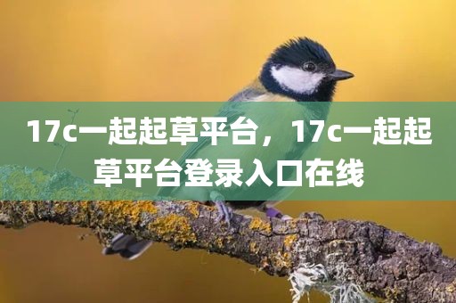 17c一起起草平台，17c一起起草平台登录入口在线