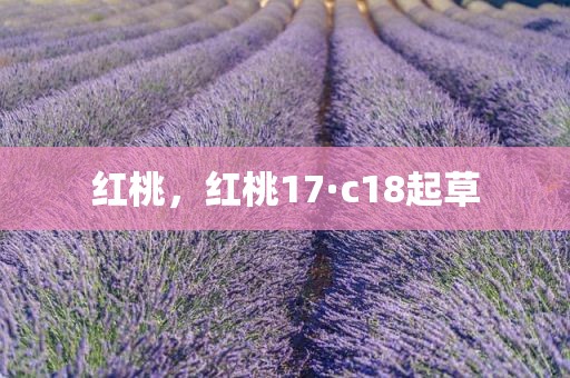 红桃，红桃17·c18起草