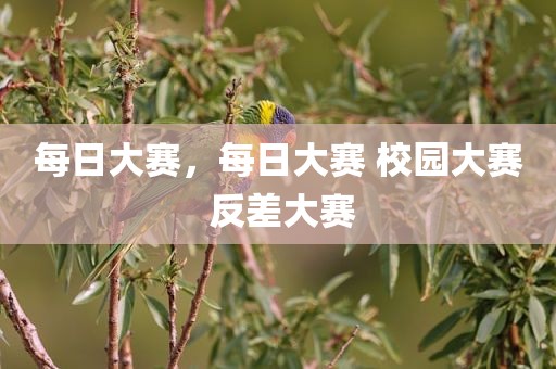 每日大赛，每日大赛 校园大赛 反差大赛