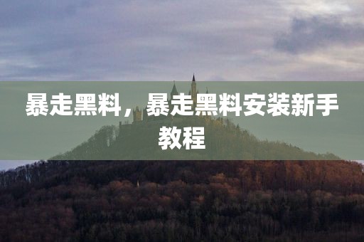 暴走黑料，暴走黑料安装新手教程