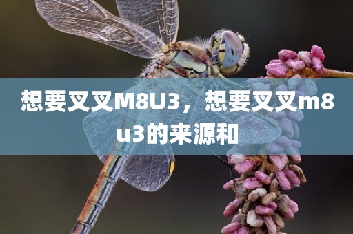 想要叉叉M8U3，想要叉叉m8u3的来源和
