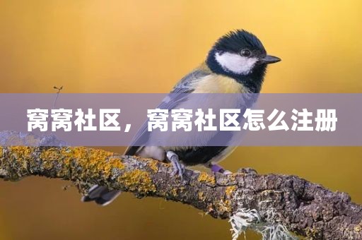 窝窝社区，窝窝社区怎么注册