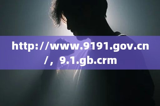 http://www.9191.gov.cn/，9.1.gb.crm