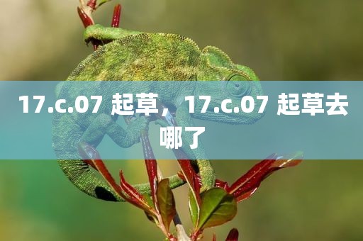 17.c.07 起草，17.c.07 起草去哪了