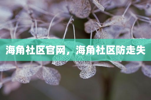 海角社区官网，海角社区防走失