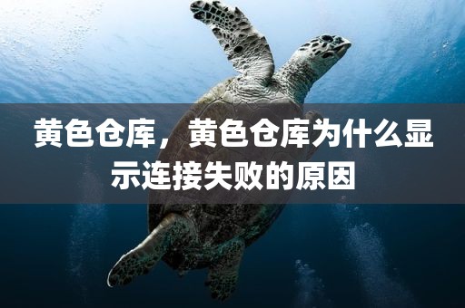 黄色仓库，黄色仓库为什么显示连接失败的原因
