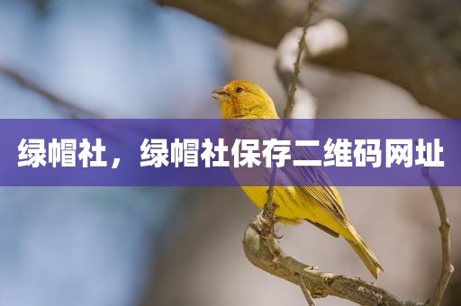 绿帽社，绿帽社保存二维码网址