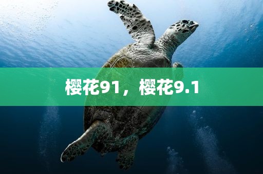 樱花91，樱花9.1