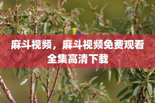 麻斗视频，麻斗视频免费观看全集高清下载