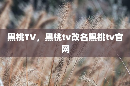 黑桃TV，黑桃tv改名黑桃tv官网