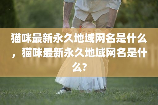 猫咪最新永久地域网名是什么，猫咪最新永久地域网名是什么?