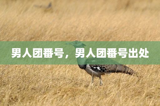 男人团番号，男人团番号出处