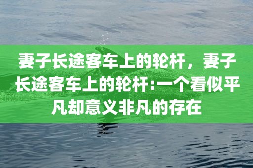 妻子长途客车上的轮杆，妻子长途客车上的轮杆:一个看似平凡却意义非凡的存在