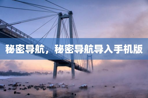 秘密导航，秘密导航导入手机版