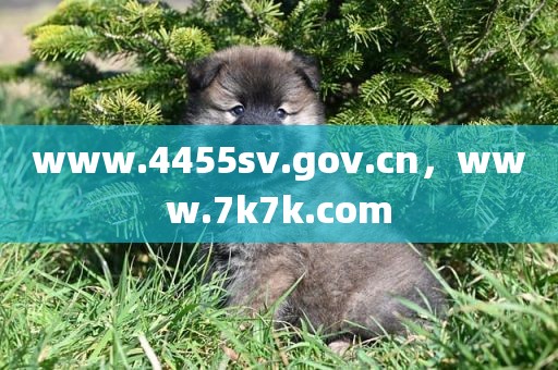 www.4455sv.gov.cn，www.7k7k.com