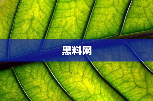 黑料网