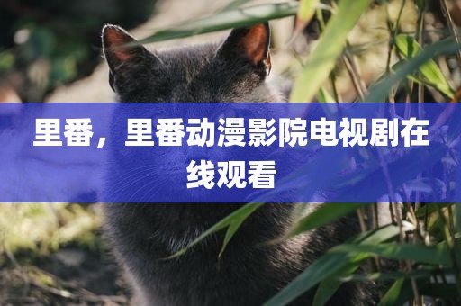 里番，里番动漫影院电视剧在线观看
