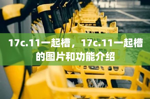 17c.11一起槽，17c.11一起槽的图片和功能介绍