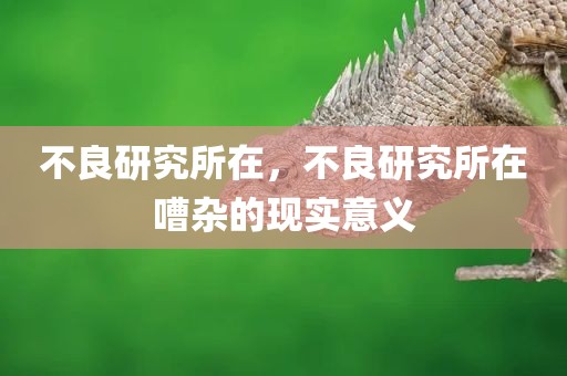 不良研究所在，不良研究所在嘈杂的现实意义