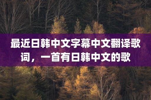 最近日韩中文字幕中文翻译歌词，一首有日韩中文的歌