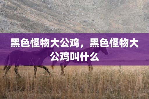 黑色怪物大公鸡，黑色怪物大公鸡叫什么