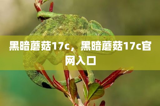黑暗蘑菇17c，黑暗蘑菇17c官网入口