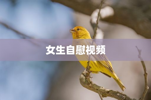 女生自慰视频