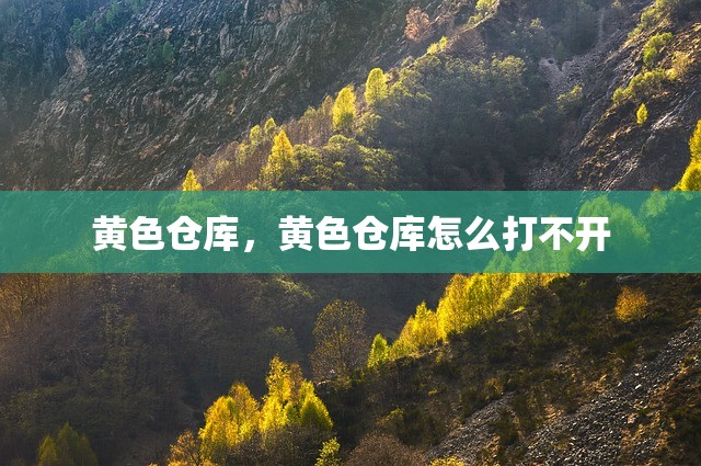 黄色仓库，黄色仓库怎么打不开