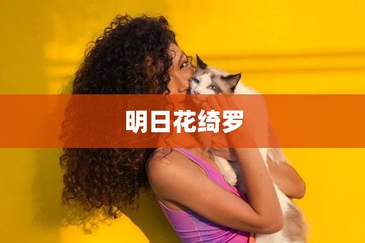 明日花绮罗