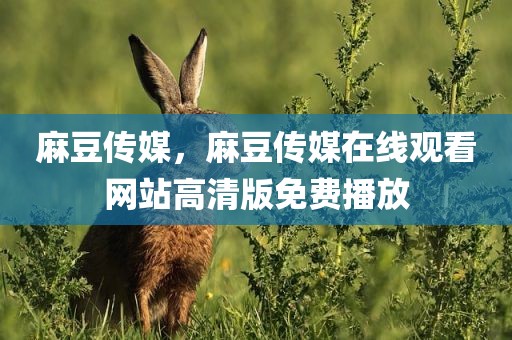 麻豆传媒，麻豆传媒在线观看网站高清版免费播放