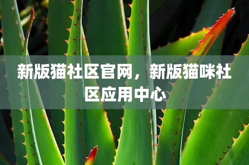 新版猫社区官网，新版猫咪社区应用中心