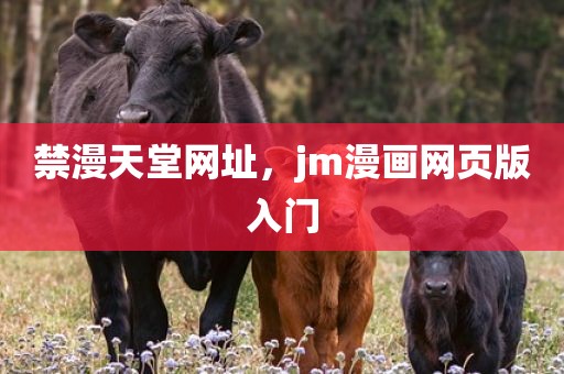 禁漫天堂网址，jm漫画网页版入门