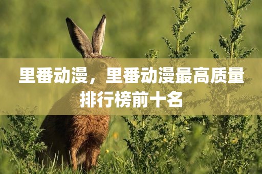 里番动漫，里番动漫最高质量排行榜前十名