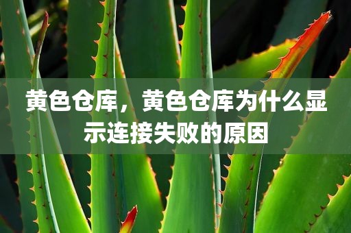 黄色仓库，黄色仓库为什么显示连接失败的原因