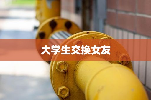 大学生交换女友