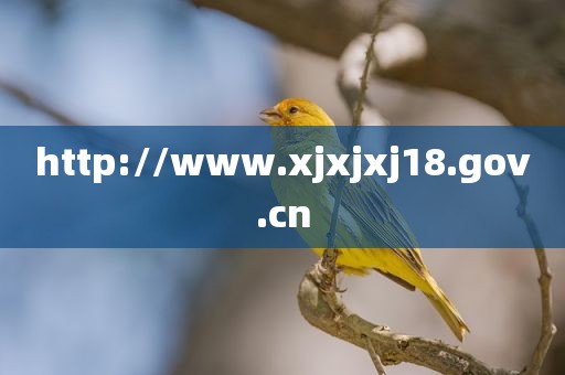 http://www.xjxjxj18.gov.cn