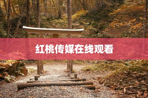 红桃传媒在线观看