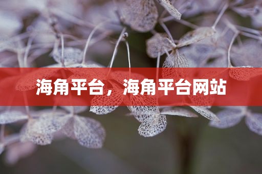 海角平台，海角平台网站