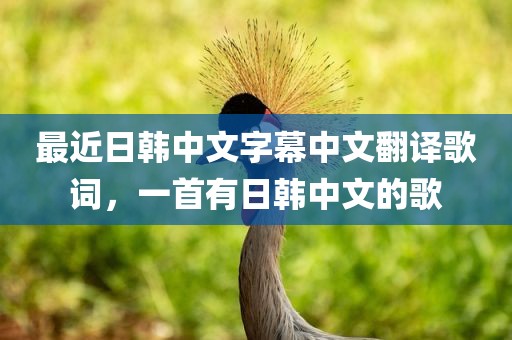 最近日韩中文字幕中文翻译歌词，一首有日韩中文的歌