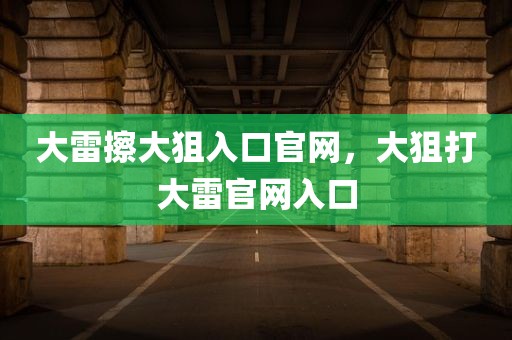 大雷擦大狙入口官网，大狙打大雷官网入口