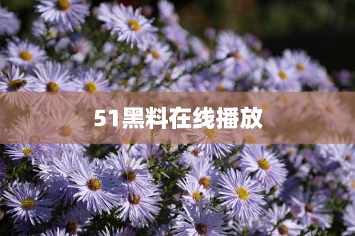 51黑料在线播放