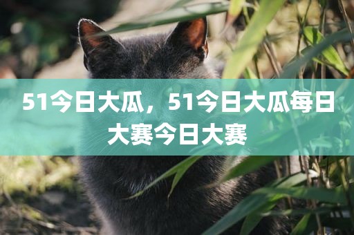 51今日大瓜，51今日大瓜每日大赛今日大赛