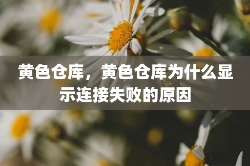 黄色仓库，黄色仓库为什么显示连接失败的原因