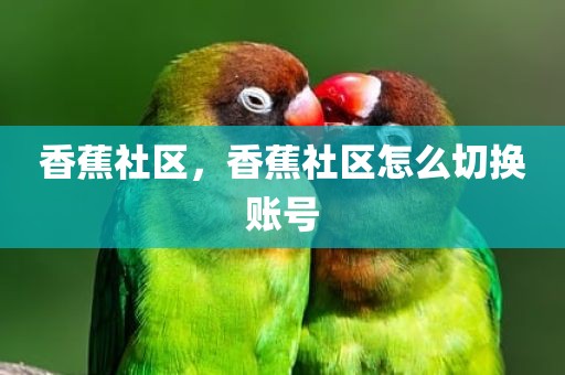 香蕉社区，香蕉社区怎么切换账号